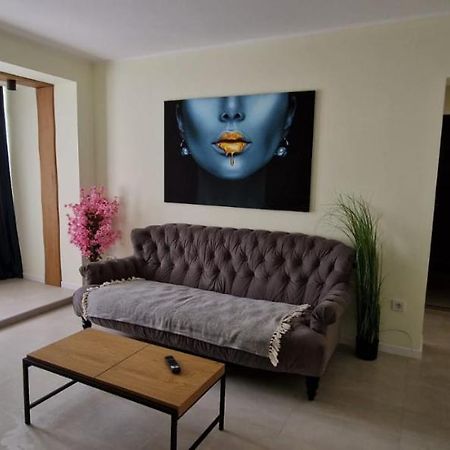 University Apartment Baia Mare Eksteriør billede