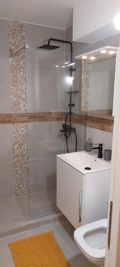 University Apartment Baia Mare Eksteriør billede