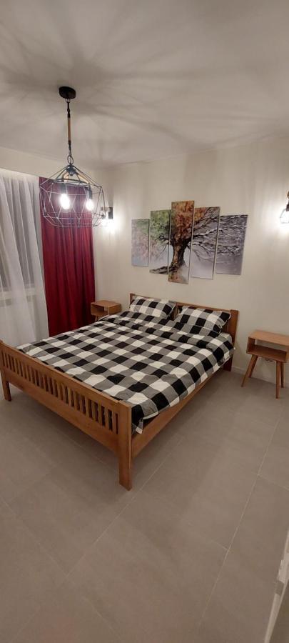 University Apartment Baia Mare Eksteriør billede