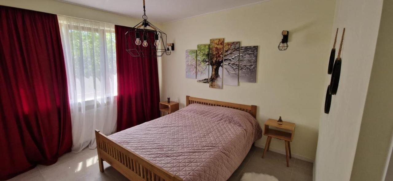 University Apartment Baia Mare Eksteriør billede